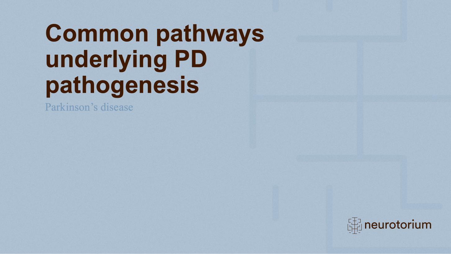 Parkinsons Disease – Neurobiology and Aetiology – slide 27